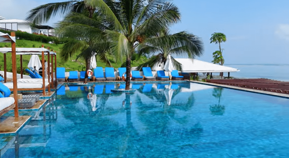 Luxury resort pool with palm trees, sun loungers, and ocean view